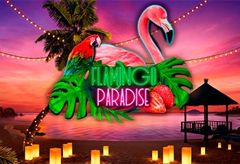 Flamingo Paradise